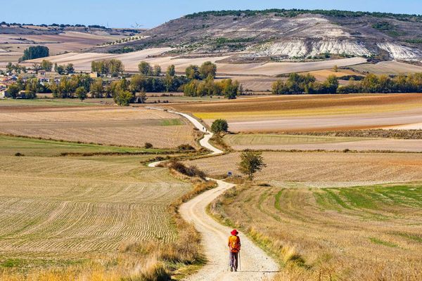 Camino Frances Stage 3: Burgos to Leon - 11  Days